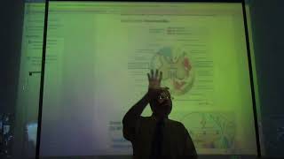 Neuroanatomy 15  Introduction 15  corticospinal fibers part 2  drWahdan [upl. by Rosene]