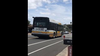 Thebus Honolulu Bus 217 Nova Bus LFS Route 444 Village ParkRoyal Kunia [upl. by Yentuoc]