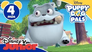 Puppy Dog Pals  La partita  Disney Junior Italia [upl. by Nodnil]