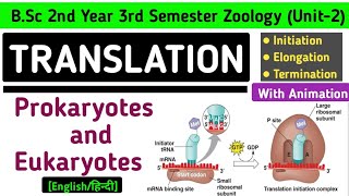 Translation in Prokaryotes and Eukaryotes  Initiation Elongation and Termination of Translation [upl. by Carmelle]