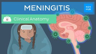 Meningitis Causes symptoms treatment  Kenhub [upl. by Almira847]