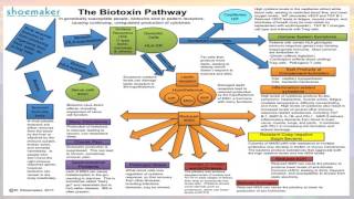 CIRS Overview [upl. by Aelyk]