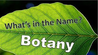 Whats in the Name Botany [upl. by Nylrad977]