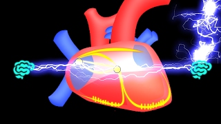 🔴 APPRENEZ LE SYSTEME ELECTRIQUE DU COEUR EN 7 MIN EN 2017   DR ASTUCE [upl. by Hootman]