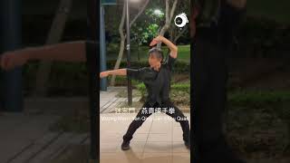 Mizong Men  Yan Qing Lian Shou Quan 迷宗門  燕青練手拳 shorts kungfu martialarts [upl. by Akinot900]