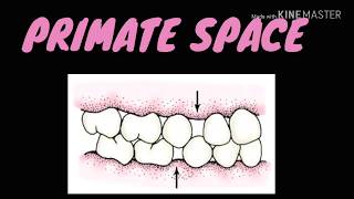 What is Primate space its use  by Dr Rajni Choudhary [upl. by Sobmalarah]