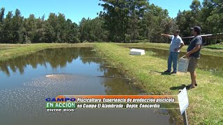 Piscícultura Manejo y cultivo de peces autóctonos del Río Uruguay  Juan Pablo Hegglin [upl. by Idonah]