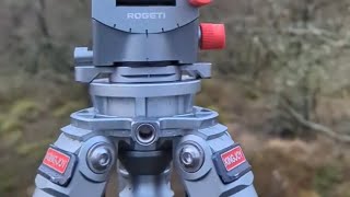 How I use my Rogeti gear head and Kingjoy Tripod to compose a woodland scene [upl. by Ardnal719]