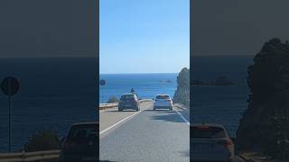 👀 drive safely on this kind of road 🚘 sardinia sardegna italy fyp shorts [upl. by Aiuqenehs]