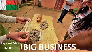 How Mountains of Madagascar Worm Cocoons Are Turned Into Expensive Silk  Cocoon Harvest Business [upl. by Eevets]