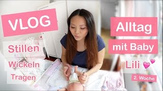 ALLTAG MIT BABY 2 WOCHEN ALT  STILLEN WICKELN TRAGEN  FAMILIEN VLOG  Mamiseelen [upl. by Llib434]