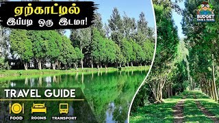 ஏற்காட்டில் இப்படி ஒரு இடமா yercaud  yercaud hidden tourist places in tamil  yercaud salem [upl. by Rutter]