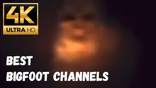 In Search Of Bigfoot Lost In Dark  Best Sasquatch Channels [upl. by Wauters]