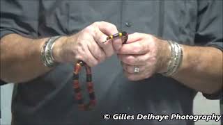 Coral Snake Venom Extraction [upl. by Tarttan]