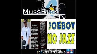 Joeboy  SIP singer gets PULLED OFF StLucia JAZZ [upl. by Bernelle]