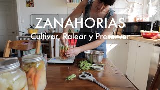 Huerto y Zanahorias  Cultivar Ralear y otra manera de Preservar tus Cosechas [upl. by Hellene]