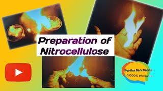 Preparation of Nitrocellulose  Cellulose nitrate  Guncotton Fireballs [upl. by Aynna989]