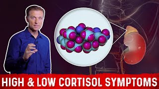 Low vs High Cortisol Levels Symptoms Explained By DrBerg [upl. by Briggs]