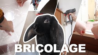 Bricolage pour mes lapins  astuces aménagement protection sécurisation [upl. by Nywde]