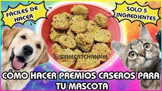 Cómo Hacer Premios o Galletas Caseras Para Tu Mascota Perro o Gato Fácil y Con Pocos Ingredientes [upl. by Hsejar]