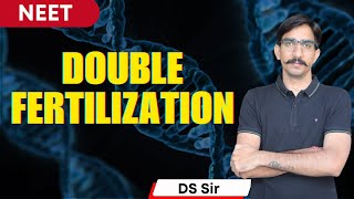 Double fertilization I Reproduction in Flowering Plants I By DS Sir [upl. by Federico]