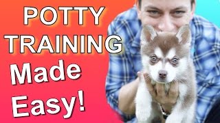 How to Potty Train your Puppy EASILY Everything you need to know [upl. by Liakim350]