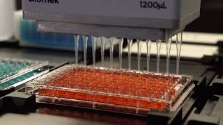 Biomek iSeries 96 Multichannel Selective Tip Pipetting by Row and by Column [upl. by Ishii]