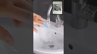 Robbie reacts Day 1 monkeyvideo monke reaction hotwater satisfying shorts [upl. by Bone749]