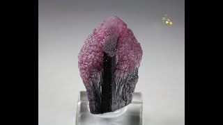 21098  TOURMALINE var RUBELLITE Palelni mine Myanmar Burma [upl. by Sean]