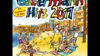 Willi Herren feat Remmi demmi Boys  Das lied der Schluempfe 2011 [upl. by Hibbert527]