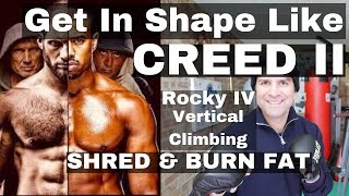 Creed 2 Boxing Training Workout [upl. by Dickson]