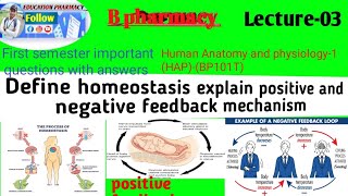 B pharmacyL31st sem important questions with solutions homeostasis positive and negative feedback [upl. by Nolie939]