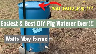 Easiest DIY Pig Waterer Ever  Dont cut holes in your barrels  Read Description Before Drilling [upl. by Shulamith649]