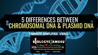 5 Differences between Chromosomal DNA and Plasmid DNA [upl. by Olleina]