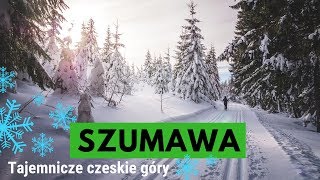 Najbardziej DZIKIE i TAJEMNICZE czeskie góry ❄ Szumawa [upl. by Cortney]