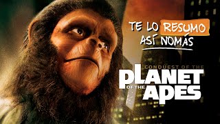 El asombroso final de El planeta de los simios nuevo reino explicado [upl. by Adigirb]