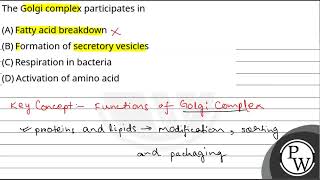 The Golgi complex participates in [upl. by Erdman]