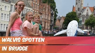 WALVIS SPOTTEN IN BRUGGE  Familie Meerschaert Vlog [upl. by Ovida76]