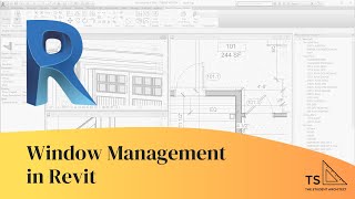 Window Management in Revit [upl. by Latimore]