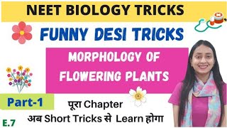 NEET BIOLOGY TRICKS Morphology of Flowering Plants  Part1 [upl. by Bullard357]