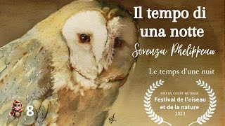 Il barbagianni il tempo di una notte di Sorenza Phelippeau  Barn Owl documentary [upl. by Reinke]