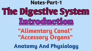 The Digestive System Introduction Alimentary Canal Accessory OrganPart1GnmBsc1st [upl. by Bac487]