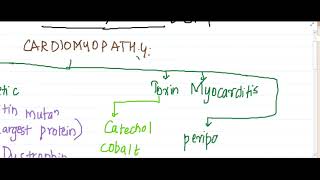 cardiomyopathy  Pathology [upl. by Yahs]