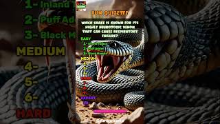 Top 10 Most Dangerous Snakes in the World  Part 1 snakes [upl. by Aehr]