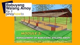 How to Raise Pigs Babuyangwalangamoy or Odorless Pigpen Episode 2  Pinoy How To [upl. by Yahsel946]