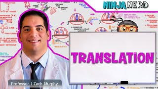 Macrolides Mechanisms of Action and Resistance [upl. by Ahsinev]