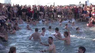 Nytårs Bad Havnebadet Islands Brygge · 2013 [upl. by Mickey]