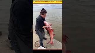 😱 মাছ ধরতে গিয়ে মেয়েটার সাথে moye moye হয়ে গেল  Releasing Fish In The River Bangla [upl. by Arsi383]