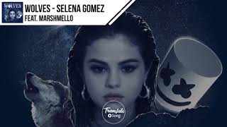 แปลเพลง Wolves  Selena Gomez ft Marshmello [upl. by Agrippina]