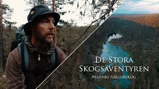 Vandring genom Pessinki  vildmark urskog fiske [upl. by Dew536]